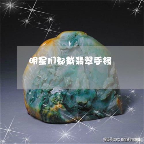 明星们都戴翡翠手镯/2023082623705