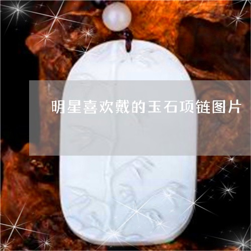 明星喜欢戴的玉石项链图片/2023073021605