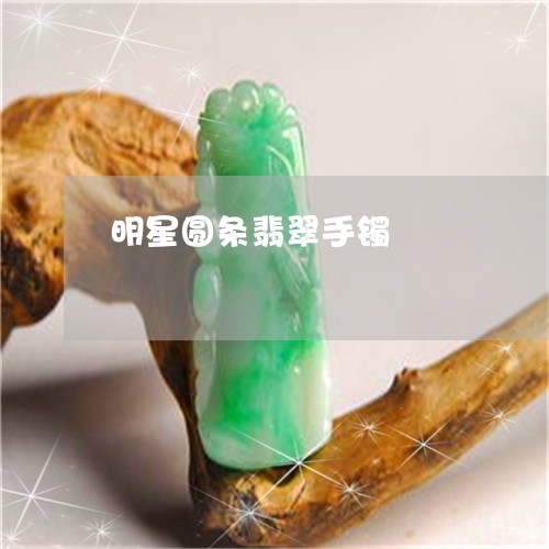 明星圆条翡翠手镯/2023092268492