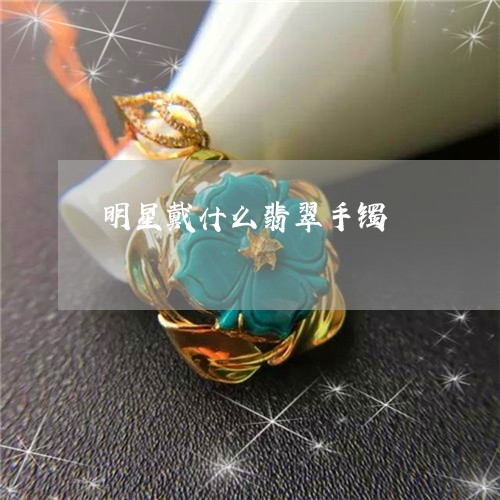 明星戴什么翡翠手镯/2023082721613