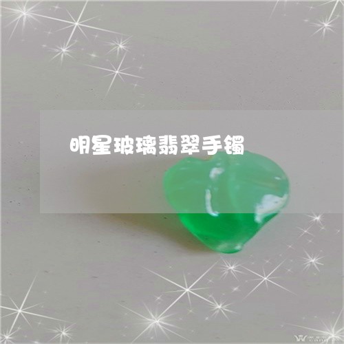 明星玻璃翡翠手镯/2023122082795