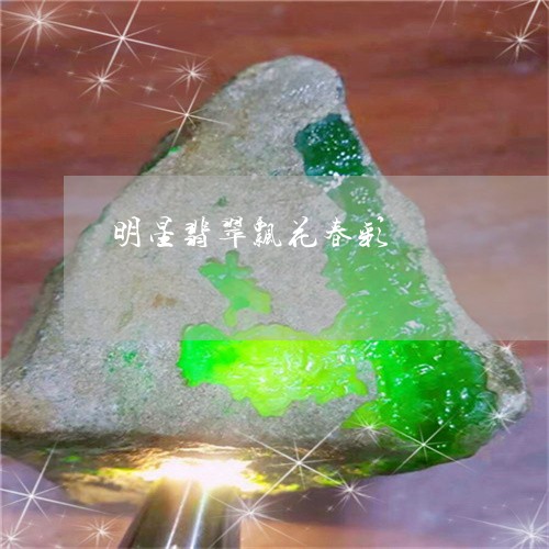 明星翡翠飘花春彩/2023122082056