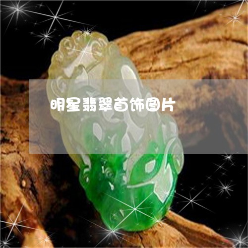 明星翡翠首饰图片/2023122018282