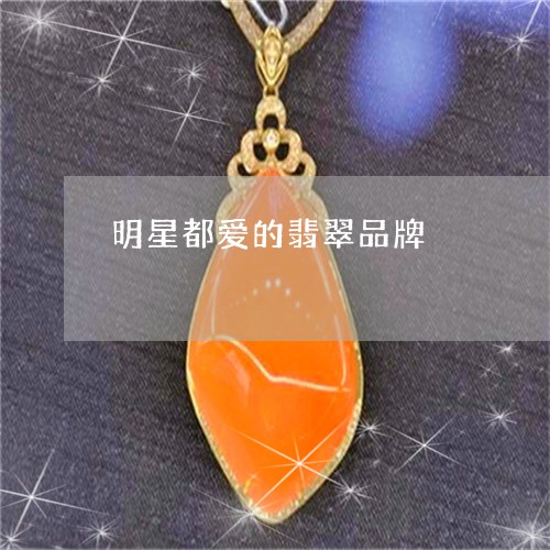 明星都爱的翡翠品牌/2023093083269