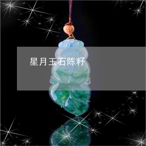 星月玉石陈籽/2023120462693