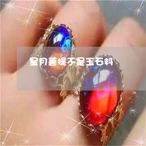 星月菩提不是玉石料/2023120486048