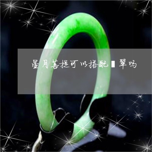 星月菩提可以搭配翡翠吗/2023070988160