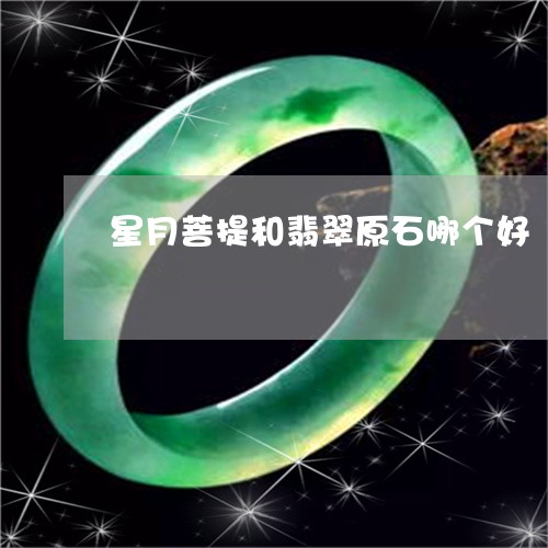 星月菩提和翡翠原石哪个好/2023073142927