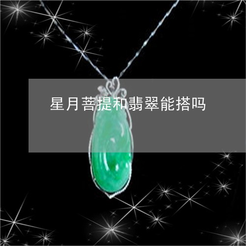 星月菩提和翡翠能搭吗/2023110600383