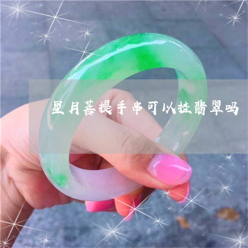 星月菩提手串可以挂翡翠吗/2023073159373