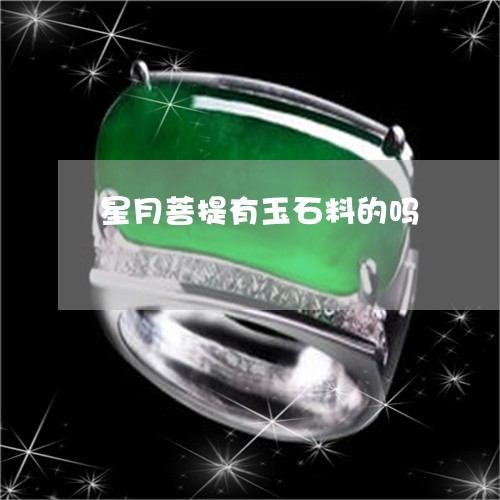 星月菩提有玉石料的吗/2023110613725