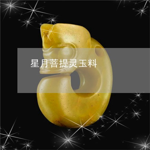 星月菩提灵玉料/2023062304937