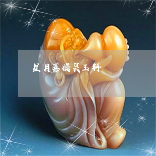 星月菩提灵玉料/2023062386047