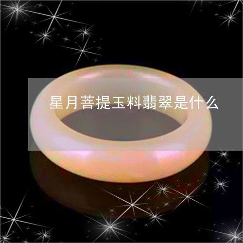 星月菩提玉料翡翠是什么/2023052105058