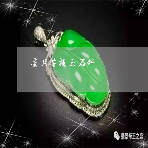 星月菩提玉石料/2023082493918