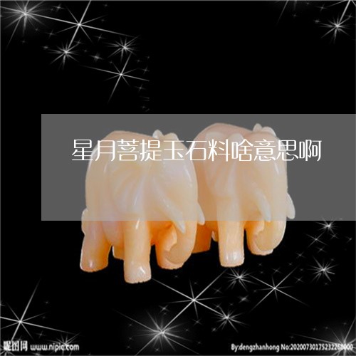 星月菩提玉石料啥意思啊/2023070941794