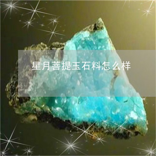 星月菩提玉石料怎么样/2023110632594