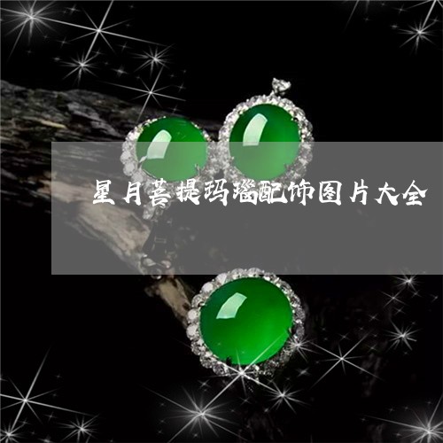 星月菩提玛瑙配饰图片大全/2023073105846