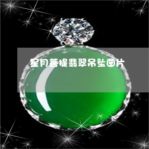 星月菩提翡翠吊坠图片/2023110636189