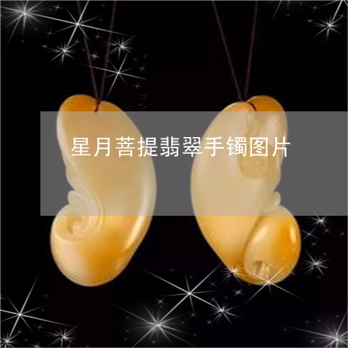 星月菩提翡翠手镯图片/2023110643715