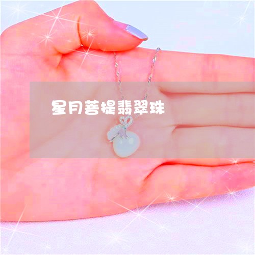 星月菩提翡翠珠/2023082482736