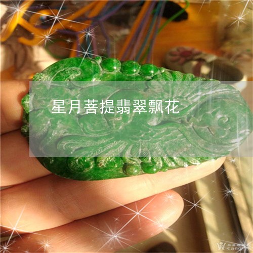 星月菩提翡翠飘花/2023122061593