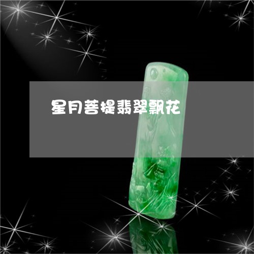 星月菩提翡翠飘花/2023122073825