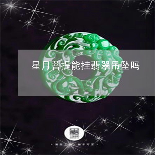 星月菩提能挂翡翠吊坠吗/2023070953837