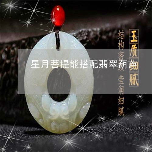 星月菩提能搭配翡翠葫芦/2023071322695