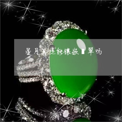 星月菩提能镶嵌翡翠吗/2023110638395