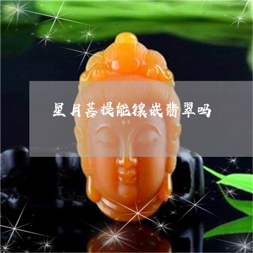 星月菩提能镶嵌翡翠吗/2023110678603