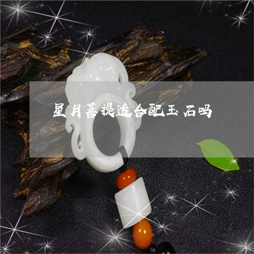 星月菩提适合配玉石吗/2023051140483