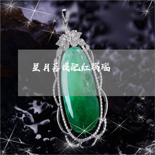 星月菩提配红玛瑙/2023122048069