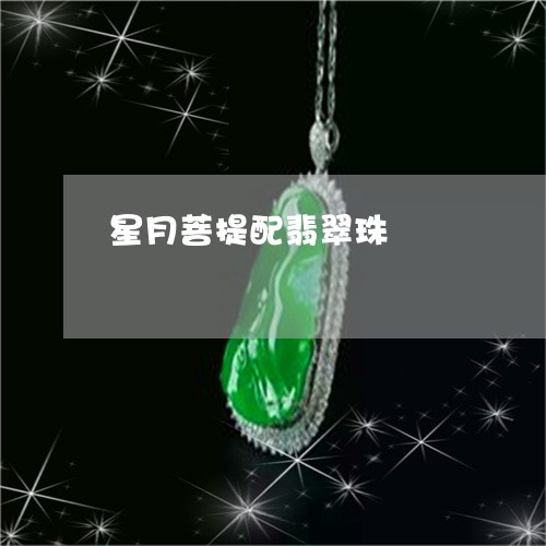 星月菩提配翡翠珠/2023122015938