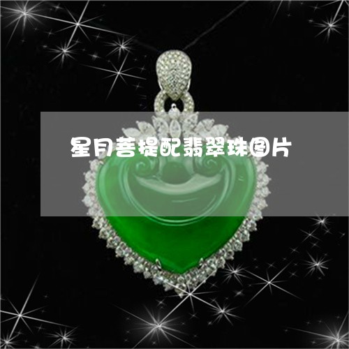 星月菩提配翡翠珠图片/2023110684936