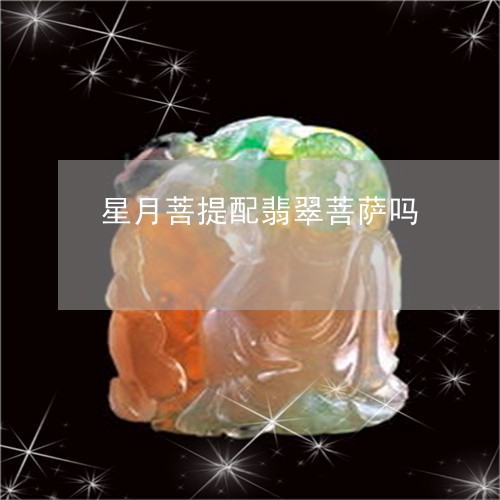 星月菩提配翡翠菩萨吗/2023110684949