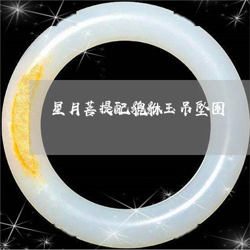 星月菩提配貔貅玉吊坠图/2023070960371