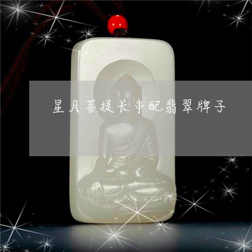 星月菩提长串配翡翠牌子/2023052119605