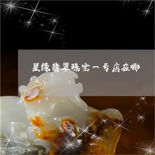 星缘翡翠珠宝一号店在哪/2023071396271