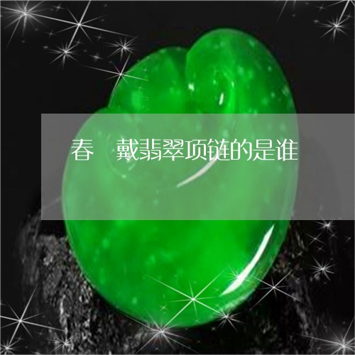 春晩戴翡翠项链的是谁/2023110771714