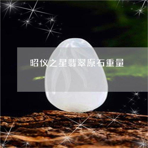 昭仪之星翡翠原石重量/2023032961814