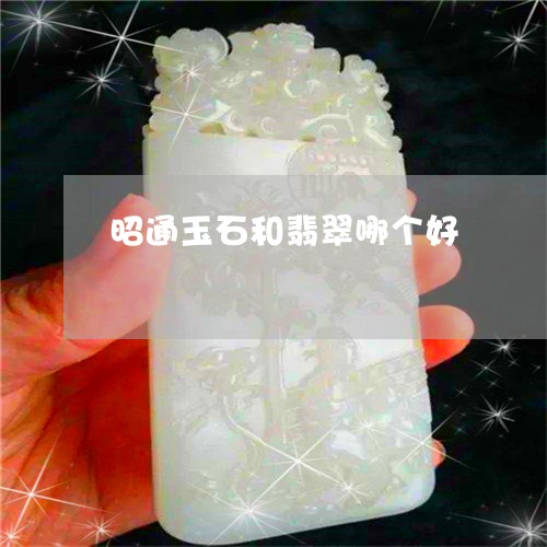 昭通玉石和翡翠哪个好/2023081366169