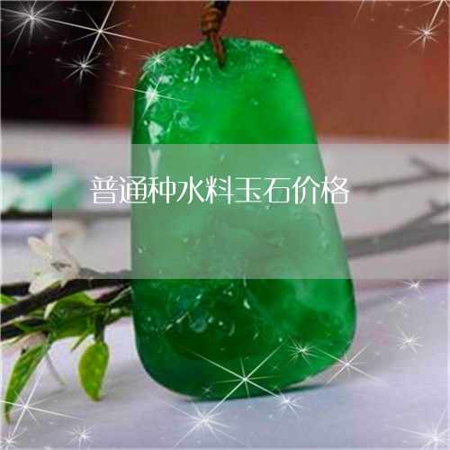 普通种水料玉石价格/2023031963038