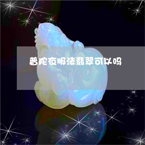 普陀衣服法翡翠可以吗/2023081312937