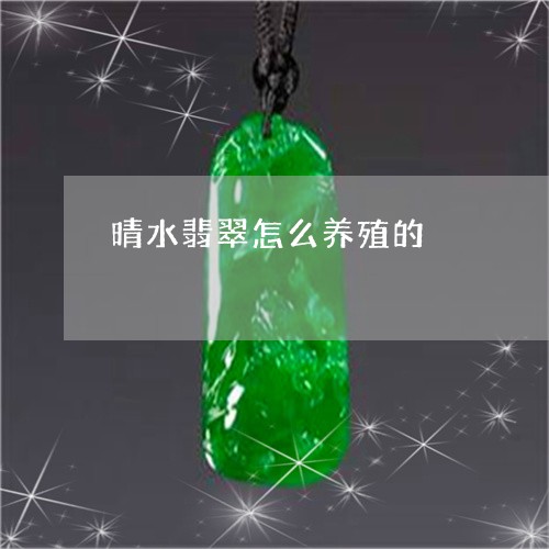 晴水翡翠怎么养殖的/2023031980707