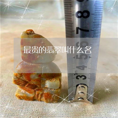 最贵的翡翠叫什么名/2023031939483