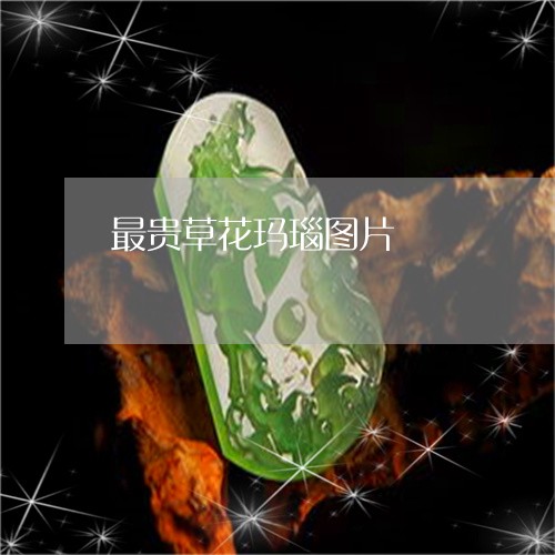 最贵草花玛瑙图片/2023122024707