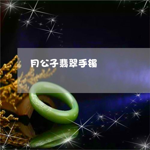 月公子翡翠手镯/2023062245938