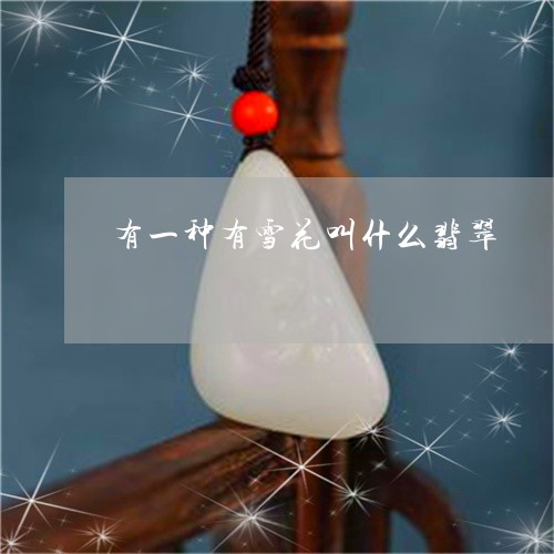 有一种有雪花叫什么翡翠/2023110484838