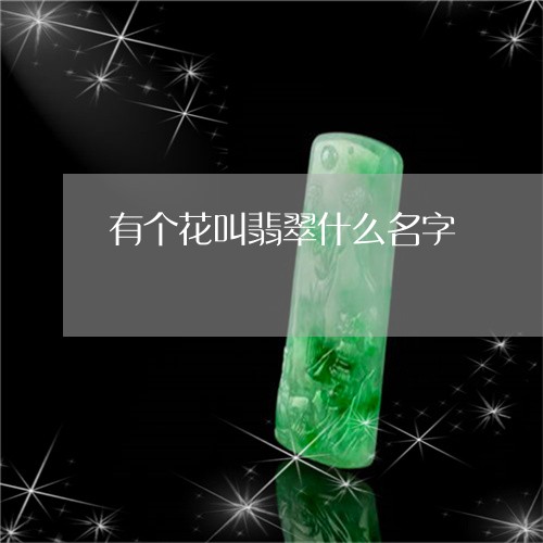 有个花叫翡翠什么名字/2023081328491